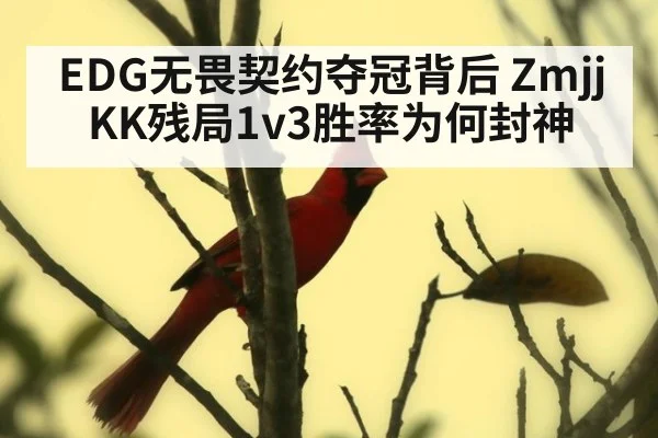 EDG无畏契约夺冠背后 ZmjjKK残局1v3胜率为何封神